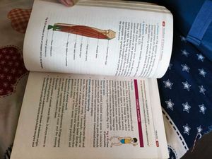 Bd Chaurasiya Handbook