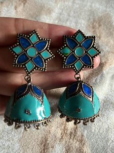 Very Nice Earrings In Blue N Green