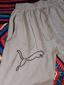 Puma Gray Athletic Shorts