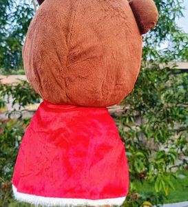 Bear Plush