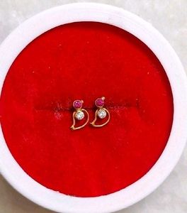 Beautiful New Parrot Desine Studs