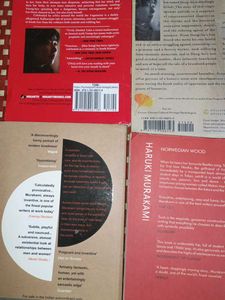 Popular Japanese Fiction Books Bundle