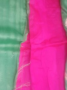 Mint Green Embroidered Saree