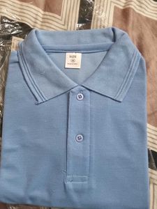 Blue Casual Polo Shirt