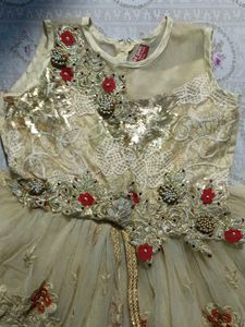 Embroidered Gold and Red Dress