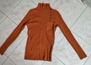 Rust Ribbed Turtleneck Top