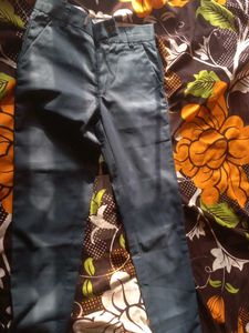 Blue Formal Pants