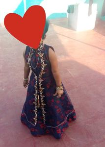 Gown With Net Shrug