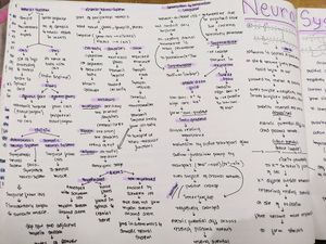Class-11/NEET Biology Mindmap/notes