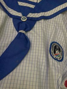 Lucknow Public school top