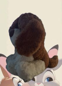 Cute Teddy