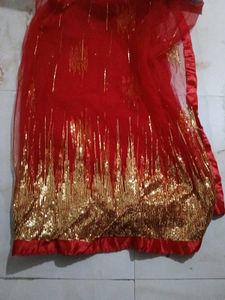 Red & Gold saree
