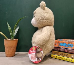 TED Soft Toy Bear From Ted2