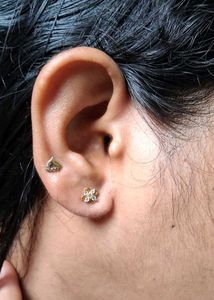 22crt Gold Earrings With Bill
