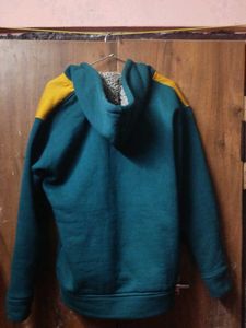Adidas Color Green Hoodie