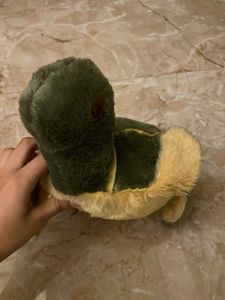 Cute Turtle Plush