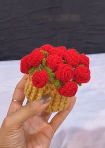 2-in-1 crochet flower pot and coaster