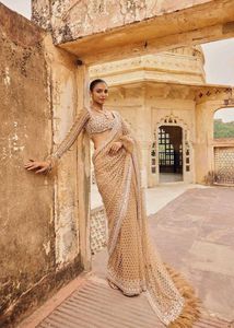 Nude Net Designer Saree