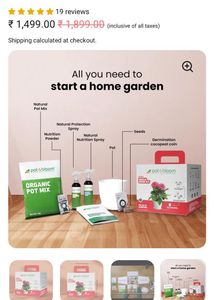 Pot &amp; Bloom Cherry Tomato Kit