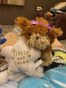 Adorable "Little and Loved" Plush