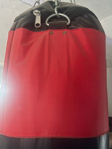 Hardbody Boxing Punching Bag With Free Training 🥊