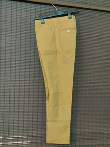 Beige Formal Pants