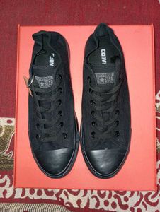 Converse All Star Chuck Taylor Low Top Sneakers