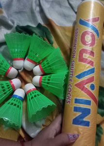 Shuttlecock