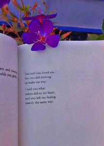 6 Book