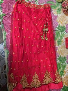 Elegant Lehenga Choli Set