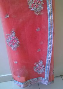 Coral Embellished Net Saree