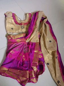 Pink & Gold Lehenga Choli Set