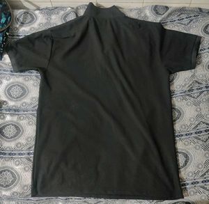 Striped Polo Shirt