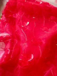 Red Butterfly Net Saree
