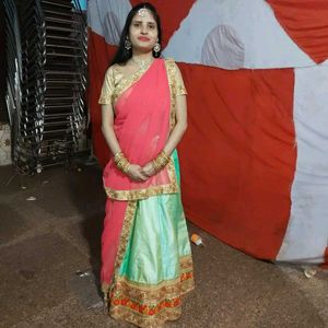 Elegant Indian Lehenga Choli