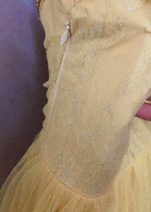 Elegant Gold Embroidered Net Evening Gown