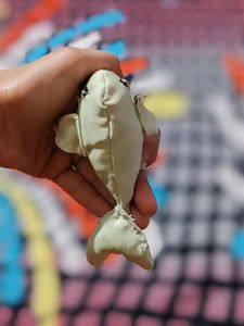 🔥Now 20% I OFF on K Pop Photocard With Fish Plush