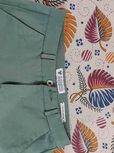 Mint Green Formal Pant