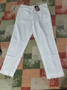 Srishti Brand Cigarette Pants