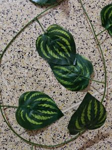 Artificial Money Plant