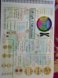 Unacademy Mind Maps - Class 11 Biology