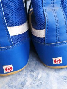 Blue &amp; White Sports Shoes