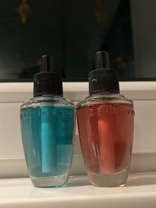 Combo Of 2 Wallflowers