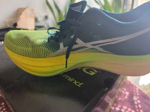 left pair of the shoe only.