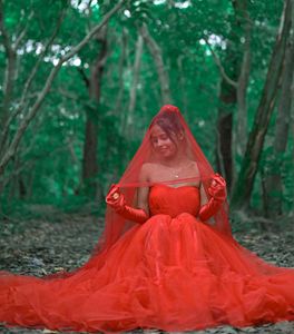 Stunning Red Tulle Gown