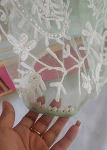Embroidered Net Skirt