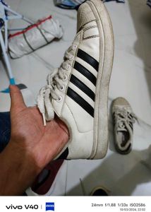 Sparx White Sneaker