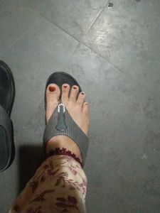 Elegant Mandakini Flats