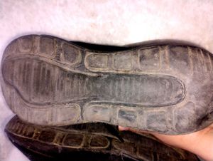 Campus Sneakers Shoes For Men