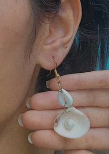 Shell Cowre Earrings